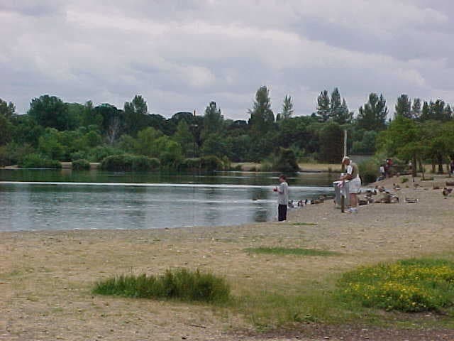 Cascadepond_e45adf5f6bc0c5c2a30a39868f44eab6.jpg